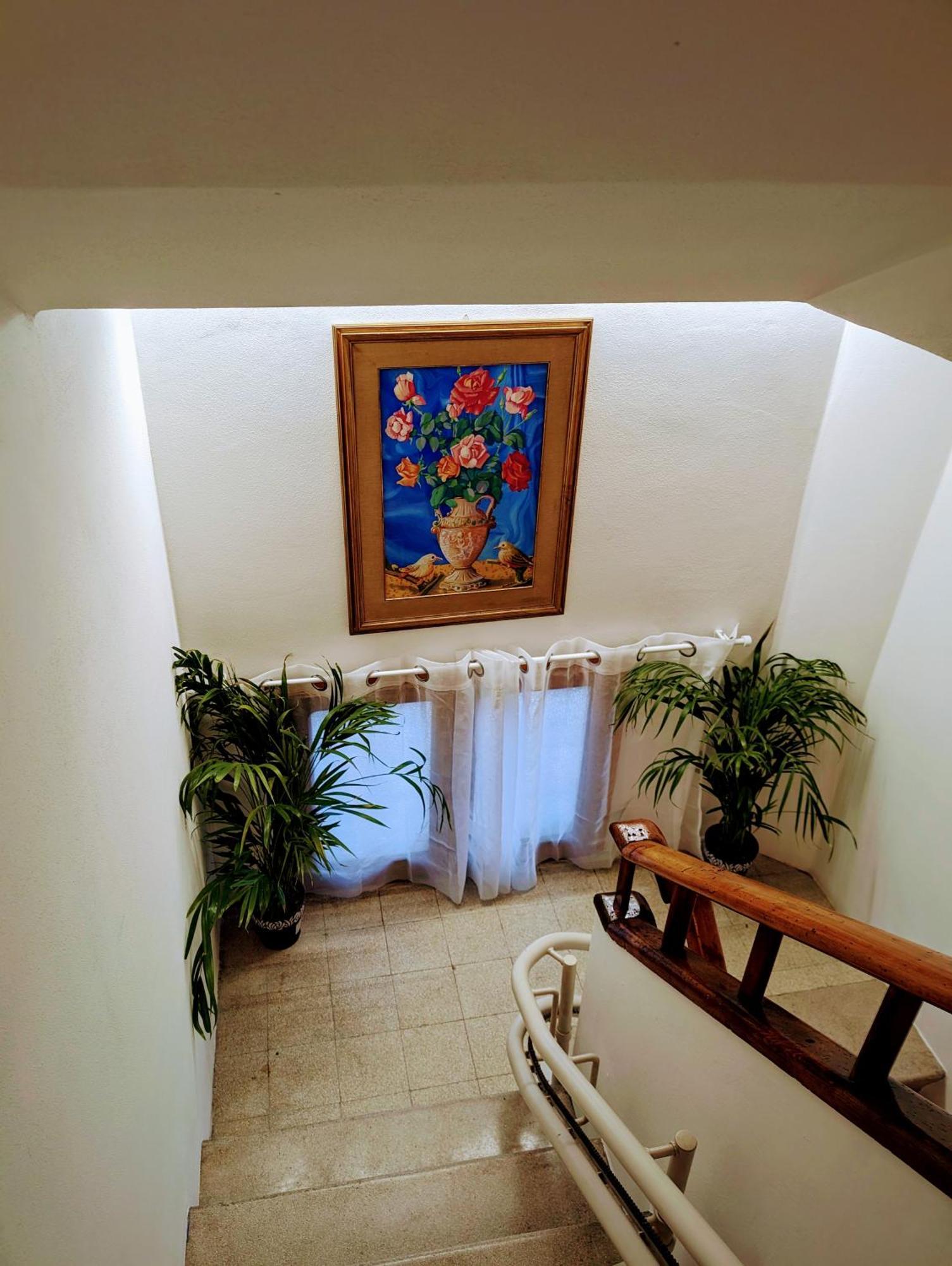 Guest House Il Glicine Stadio - Ospedale Чезена Экстерьер фото